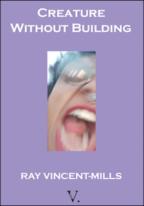 The jacket is mauve. Text for title and author is centred in white caps, the title over two lines at the top, the author's name near the bottom, and above the publisher's logo which is in black: V. In the middle of the jacket is a tall rectangle containing a slice of a full colour photo of a face, looks like a woman's with mouth open shouting or screaming. Appears to be wearing glasses or goggles over the one eye you can see. But mostly what you notice is the energy of the open mouth and its white teeth. 