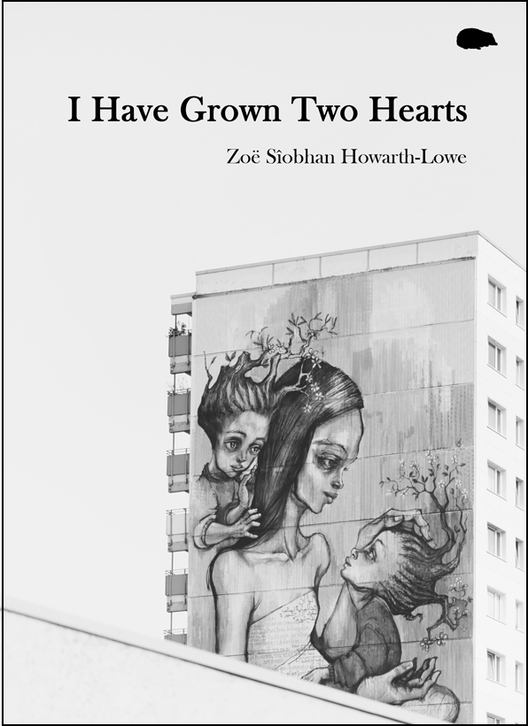 Pale cover with drawing of block of flats with a mother and two children like a mural on its side