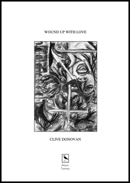 The jacket is white, with a monochrome rectangle of illustration fitting in the centre, and the same shape (but smaller) as the jacket. This illustration is abstract but includes an upside down woman's head and nect, her hand  up to her mouth -- she may be spewaking or shouting. Other shapes are swirly. Possibly a white cross is included. The title is in small caps above the graphic, the author's name in the same small caps below it. The foot of the jacket includes the Lapwing logo (a little lapwing in a box).