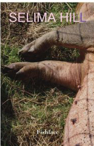 The jacket is a photograph. It shows part of a pig lying down, its forlegs and trotters stretching from the right of the jacket across to (nearly) the left.  The pig must be lying in sunshine because it is shadowed in squares from what must be something wire fence. It is lying on yellowed grass and none of the head is visible. The author's name is in the top two inches in very large white caps. The name of the collection is in very small white lower case at the foot of the jacket, so you hardly see it when you glance at the whole.