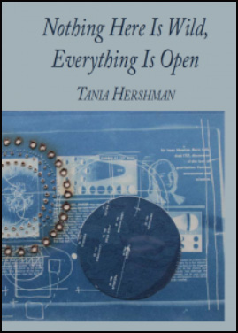 The overall colour of the jacket is blue, but the top third is just pale background, over which the title is lowercase italics, very large, and centred. Below the title the name of the poet in italic caps. The bottom two thirds has an illustration that seems to include a bracelet, a circle (could be an old record) and some other magazine type background in blue and white. Hard to know quite what it is really.